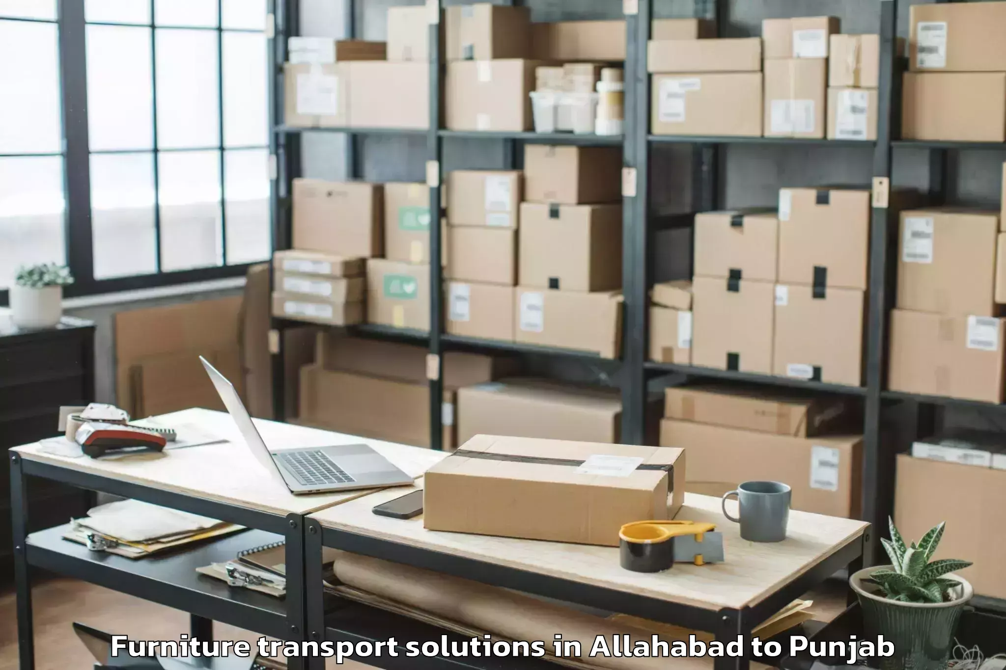 Affordable Allahabad to Sangrur Furniture Transport Solutions